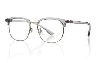 grey_silver Eyeglasses