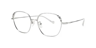 Silver Eyeglasses 96352D