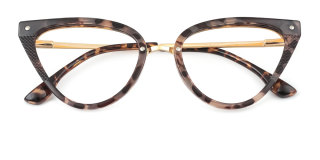 tortoiseshell Eyeglasses