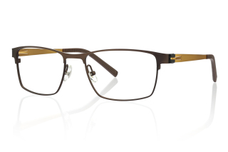 gold Eyeglasses