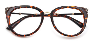 tortoiseshell Eyeglasses
