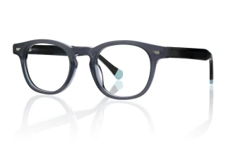 blue Eyeglasses