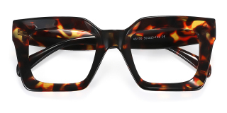 tortoiseshell Eyeglasses