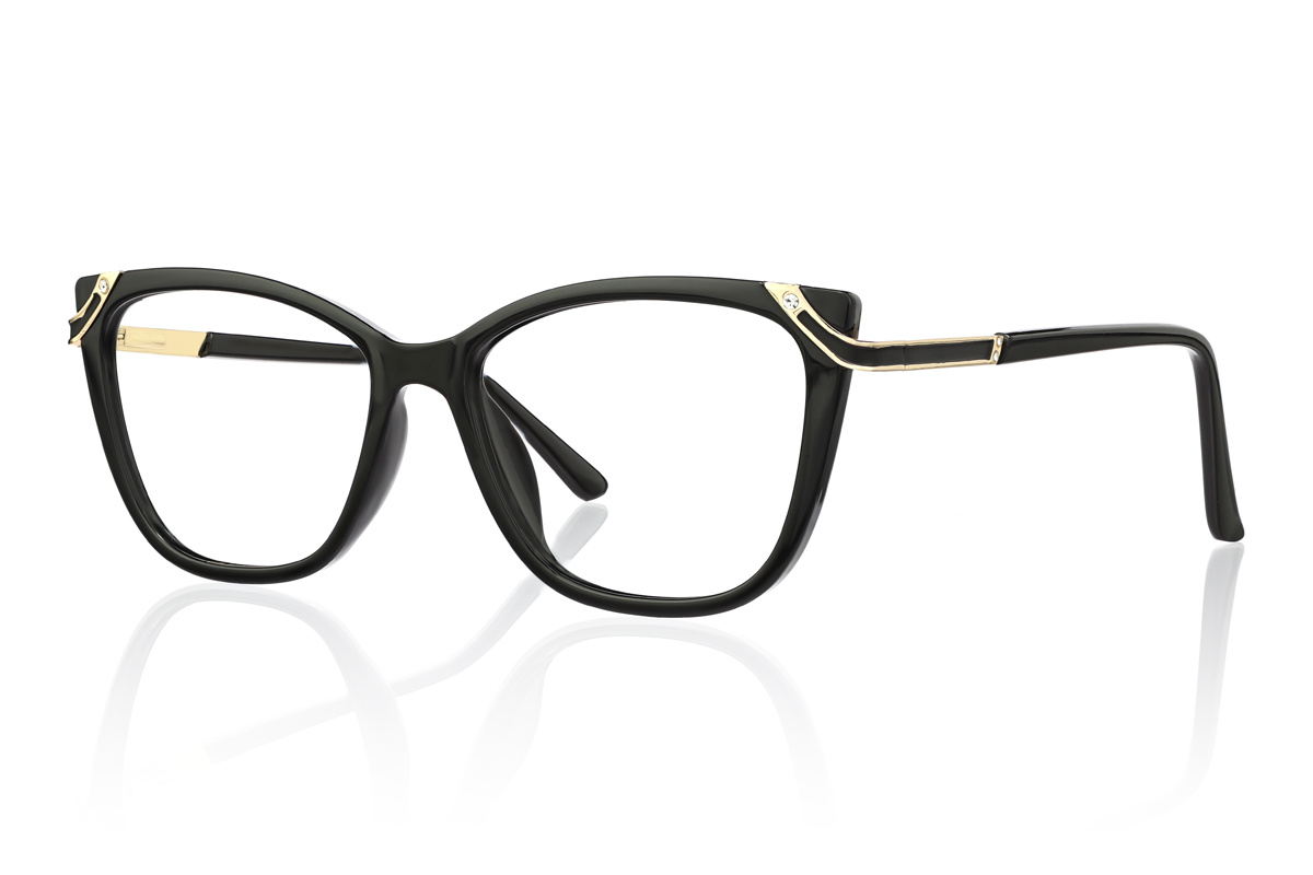 Black Eyeglasses L43380A